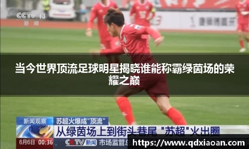 当今世界顶流足球明星揭晓谁能称霸绿茵场的荣耀之巅