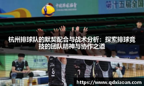 杭州排球队的默契配合与战术分析：探索排球竞技的团队精神与协作之道