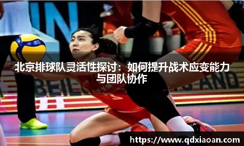 北京排球队灵活性探讨：如何提升战术应变能力与团队协作